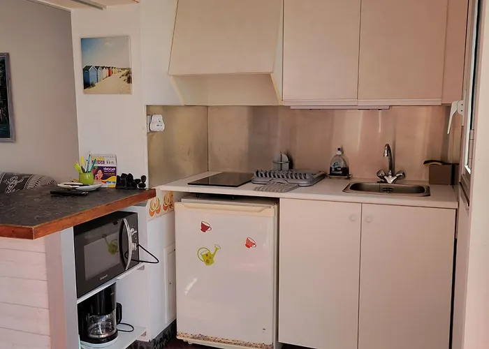 Appartamento Studio-2 Personnes-résidence Le Pharo, Vue Piscine Port