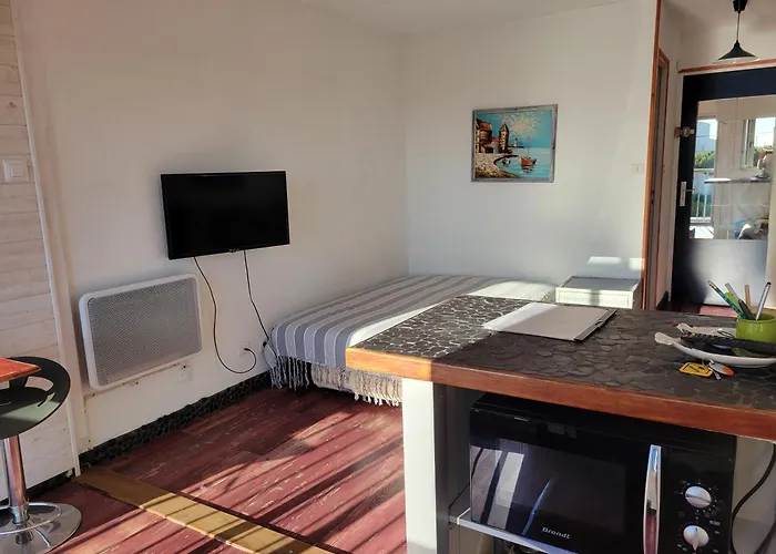 Studio-2 Personnes-residence Le Pharo, Vue Piscine Port Apartment Agde